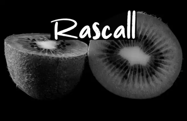 Rascall Font examples