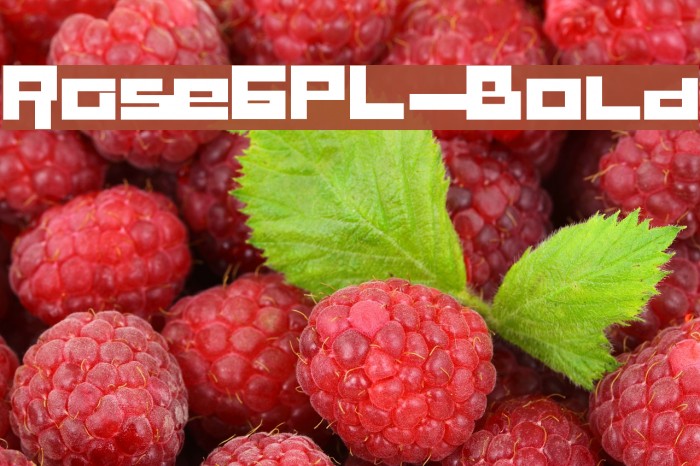 RaseGPL-Bold Font examples