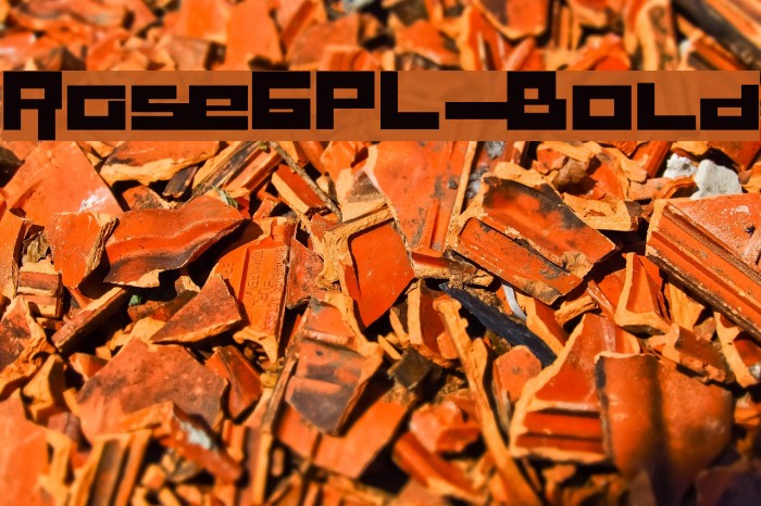 RaseGPL-Bold Font examples