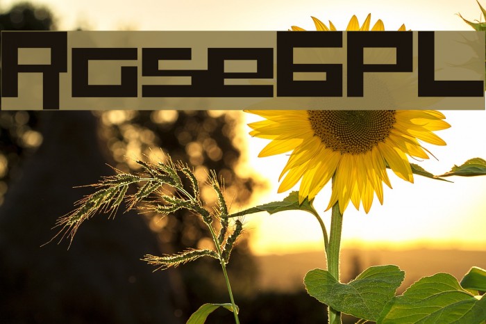 RaseGPL Font examples