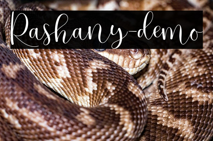 Rashany-demo Example 3