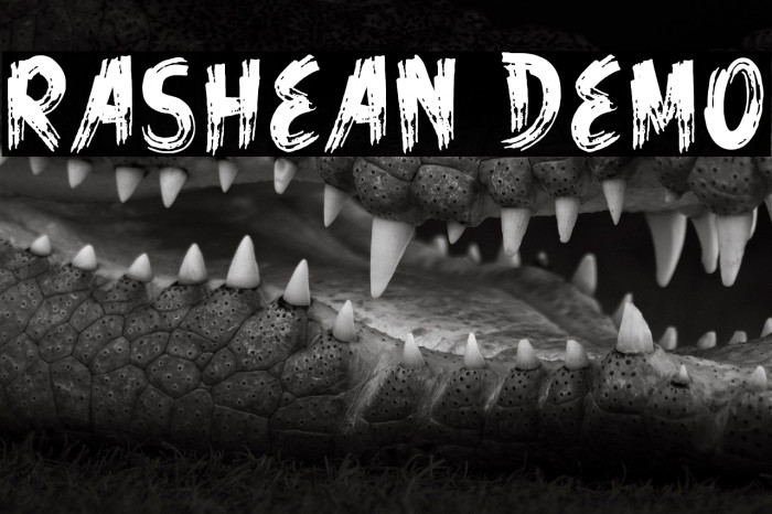 Rashean Demo Example 1