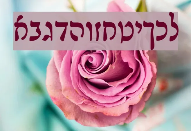 Rashi Example 2