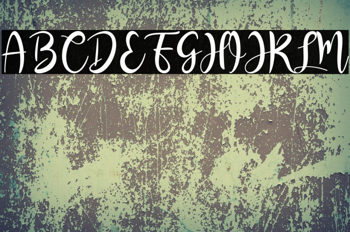 RashidaScript Example 1