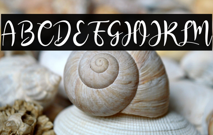 RashidaScript Example 1