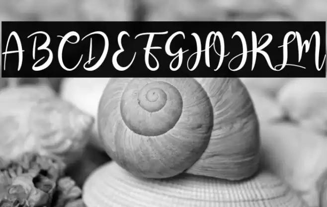 RashidaScript Font examples