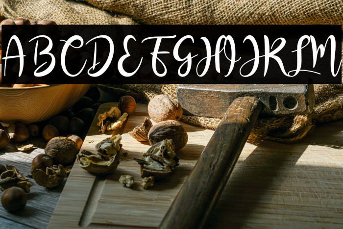 RashidaScript Example 2