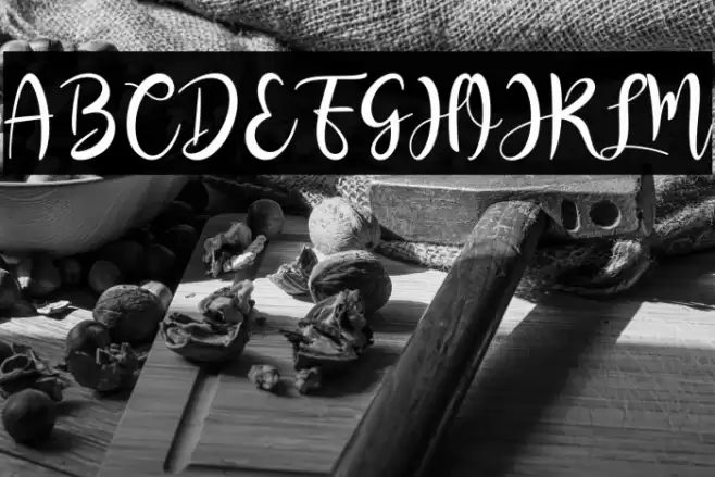 RashidaScript Font examples