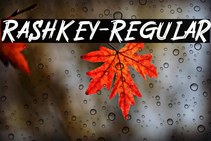 Rashkey-Regular Example 1