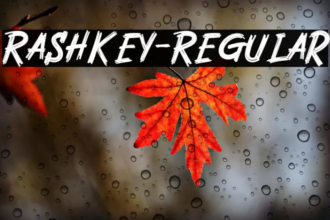 Rashkey-Regular Example 1