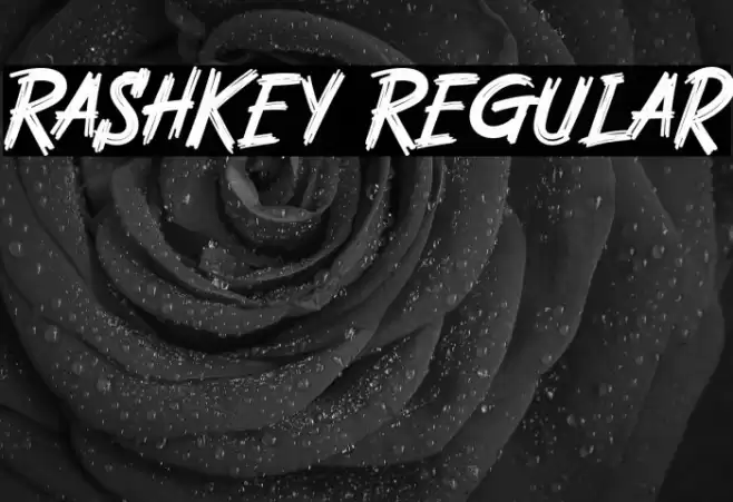 Rashkey Regular Font examples