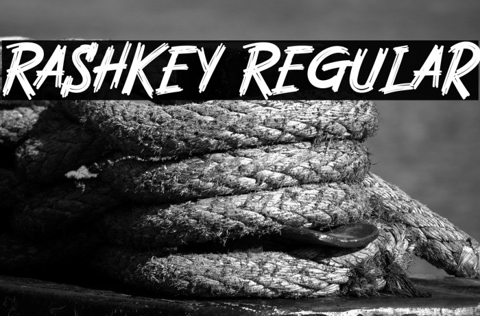 Rashkey Regular Example 3