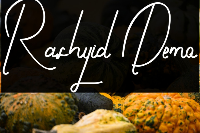 Rashyid Demo Example 1