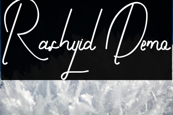 Rashyid Demo Example 2