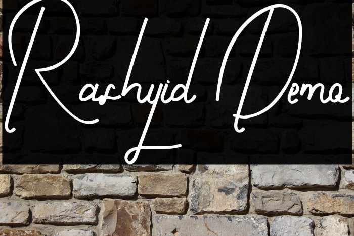 Rashyid Demo Example 3