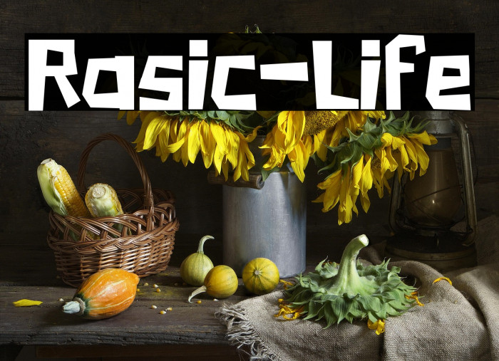Rasic-Life Example 3
