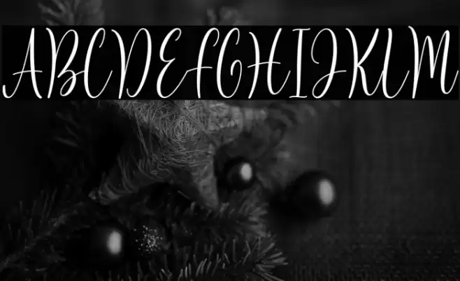 Rasida Font examples