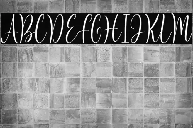 Rasida Font examples