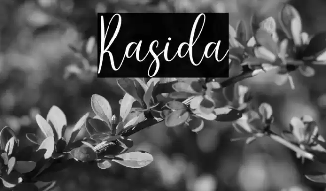 Rasida Font examples