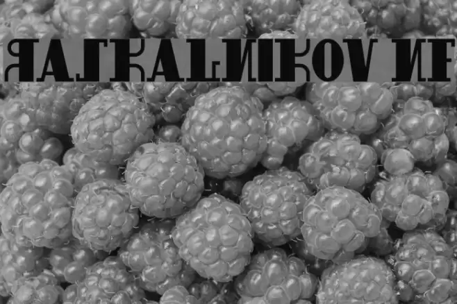 Raskalnikov NF Schriftart examples