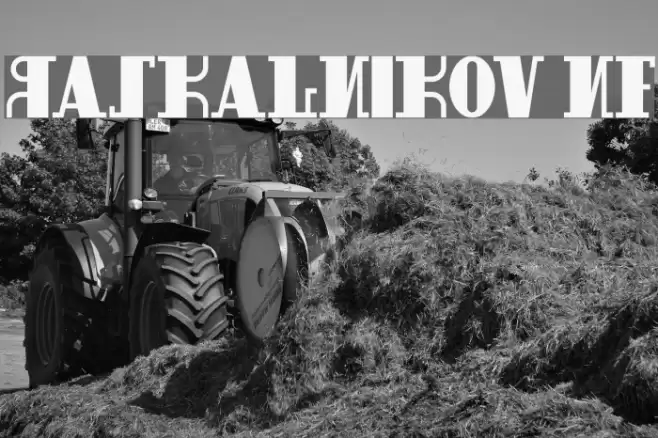 Raskalnikov NF Schriftart examples