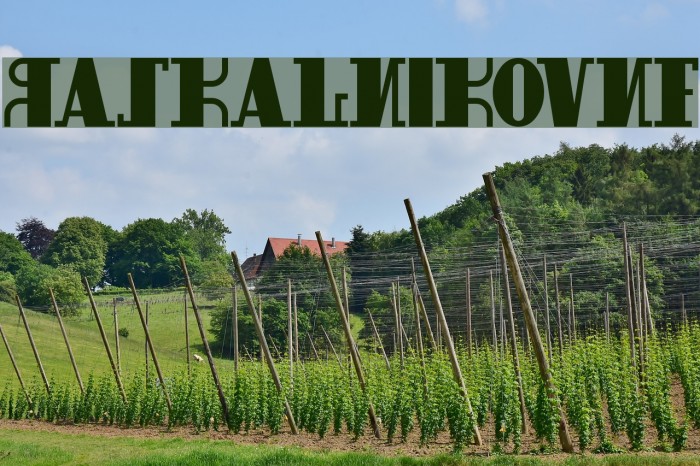 RaskalnikovNF Font examples