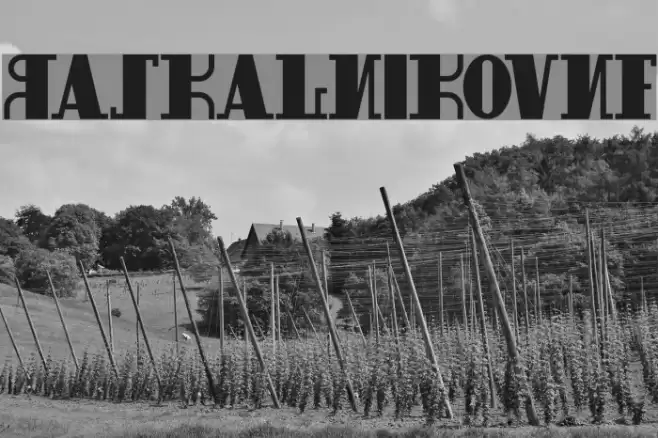 RaskalnikovNF Fuentes examples
