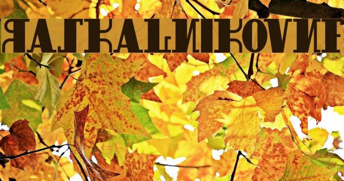 RaskalnikovNF Font examples