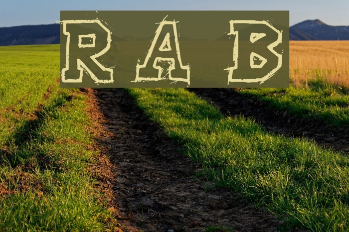 Raslani American letters Bold Font examples