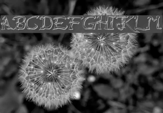 Raslani Destroyed Souls Font examples