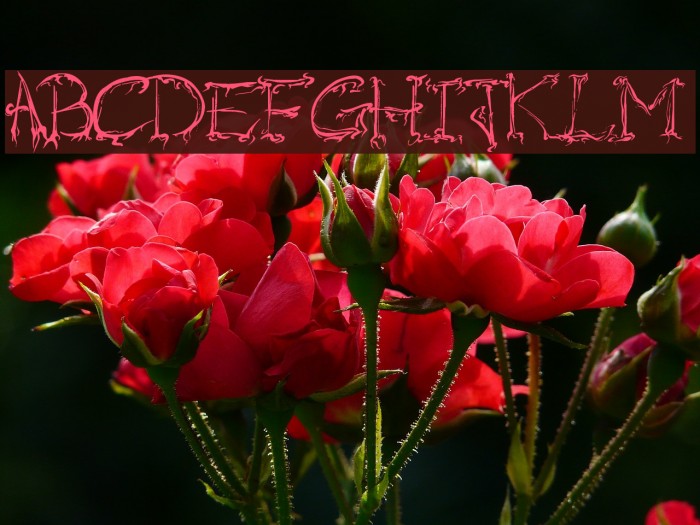 Raslani Horrorz Font examples