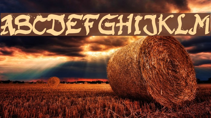 Raslani Kaplash Example 2