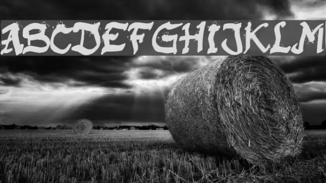 Raslani Kaplash Font examples