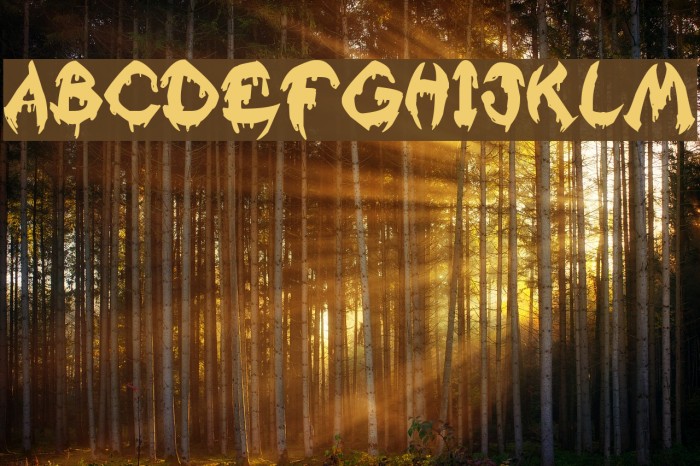 Raslani Kavaliar Kaiser Font examples