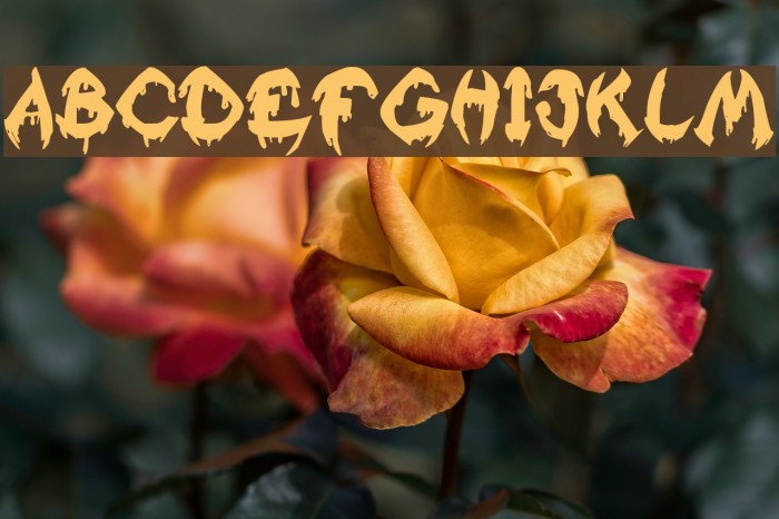 Raslani Kavaliar Kaiser Font examples