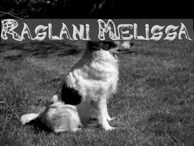 Raslani Melissa フォント examples