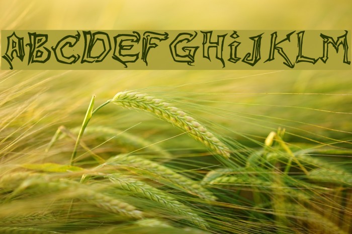 Raslani Messenger Example 3