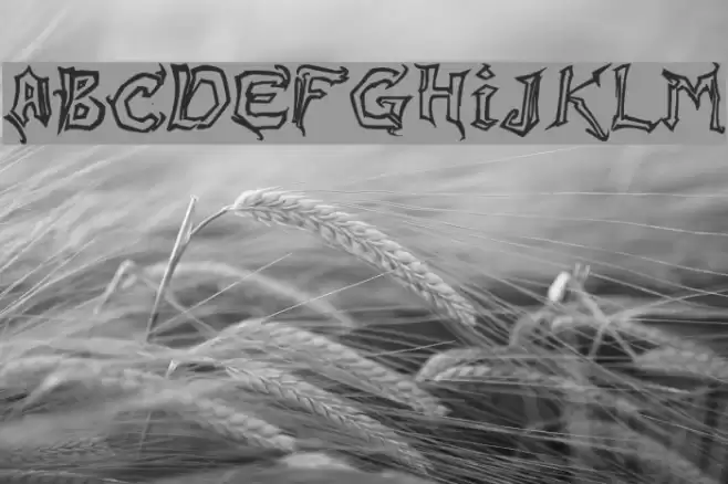 Raslani Messenger Font examples