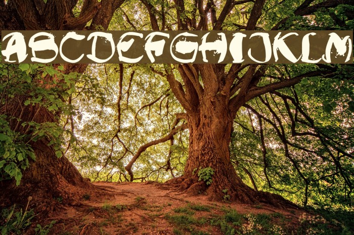 Raslani Shaashimov Font examples
