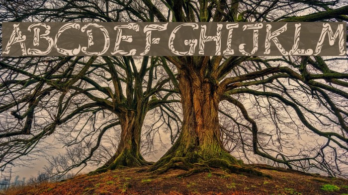 Raslani Tribal Font examples
