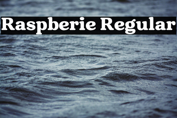 Raspberie Regular Example 1