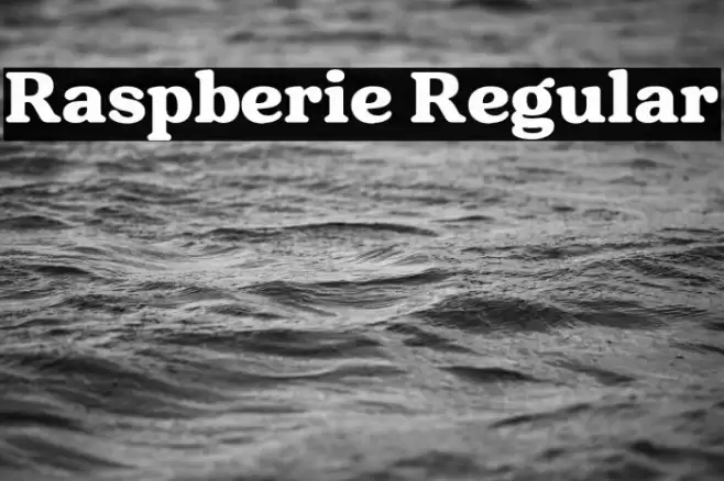Raspberie Regular Шрифта examples