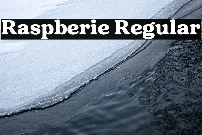 Raspberie Regular Example 2