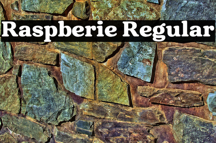 Raspberie Regular Example 3