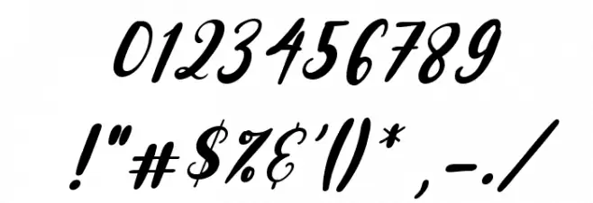 Raspberry Italic Font OTHER CHARS
