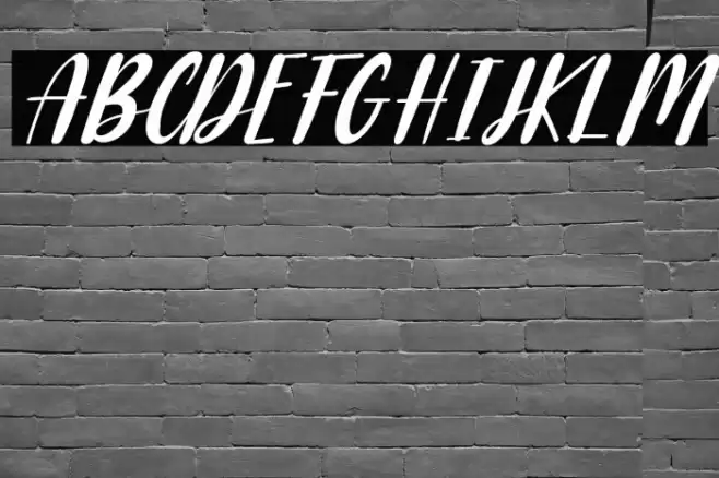 Raspberry Italic Font examples