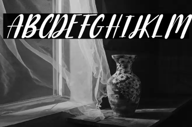 Raspberry Italic Font examples