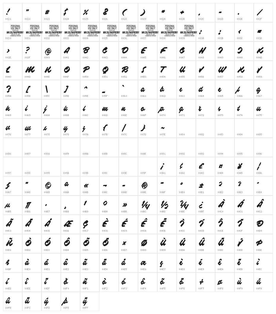 Raspberry Script PERSONAL USE Character Map