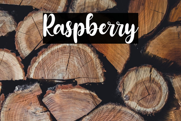 Raspberry Example 1