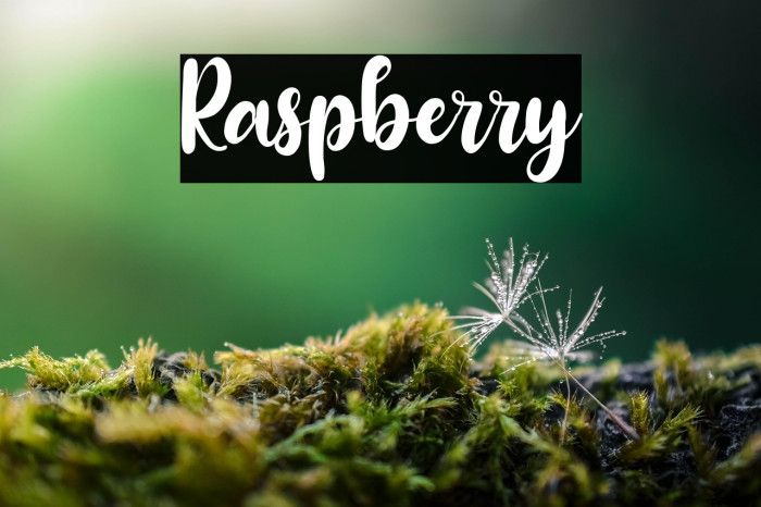 Raspberry Example 3